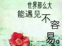 -鑫隆温泉酒店