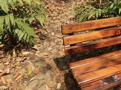 -中国科学院西双版纳热带植物园