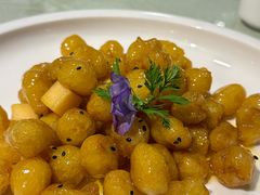 -朝郡酒家·粤菜(燕大星苑店)