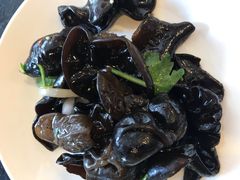 -蝎王府羊蝎子(天通苑店)