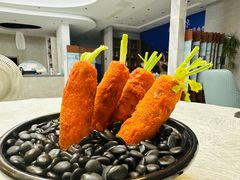 -丁老爷子苏香圆