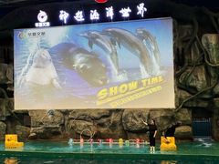 -威海华夏城景区