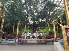 -西双版纳勐泐文化旅游区