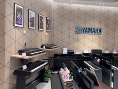 -知音艺术教育培训·钢琴培训·音乐培训(河西金鹰世界校区)