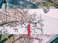 -上海南浦大桥长途旅游客运站