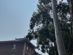 -厦门大学(思明校区)