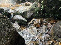 -广州白江湖森林公园