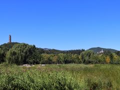 -北坞公园