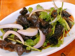 醋渍小木耳-小厨面(巨野路店)