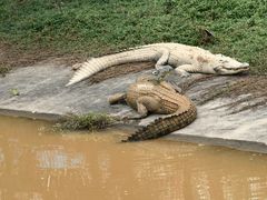 -泉州海丝野生动物世界