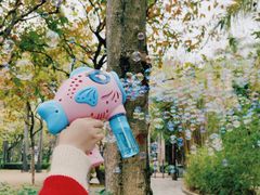 -金花茶公园