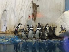 -太平洋海底世界