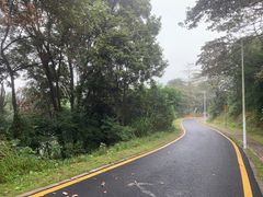 -黄埔油麻山森林公园