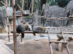 -杭州野生动物世界