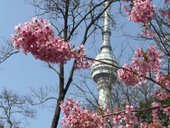 -龟山风景区-龟山电视塔