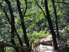 -北京上方山国家森林公园