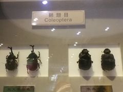 -上海昆虫博物馆