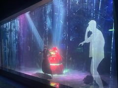 -顺德南宏海立方海洋公园