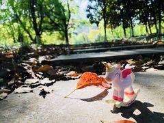 -玉山公园