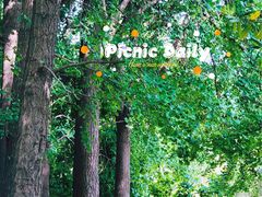 -上海共青森林公园