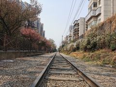 -云南师范大学(一二一西南联大校区)
