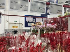 -山姆会员商店(上海浦东店)