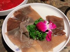 -小龙坎火锅(春熙太古里店)