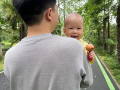 -合肥滨湖国家森林公园