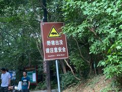 -紫金山山顶公园