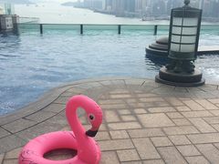 -香港九龙海逸君绰酒店