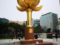 -金莲花广场