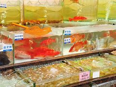 -新海利海鲜城·41年珠海老字号(夏湾店)