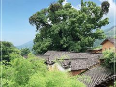 -杨家堂村