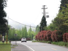 -大围山国家森林公园