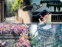 -惠山古镇·寄畅园