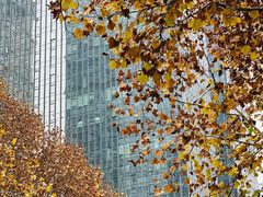 -重庆市江北嘴中央商务区中央公园