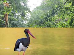 -北京上方山国家森林公园