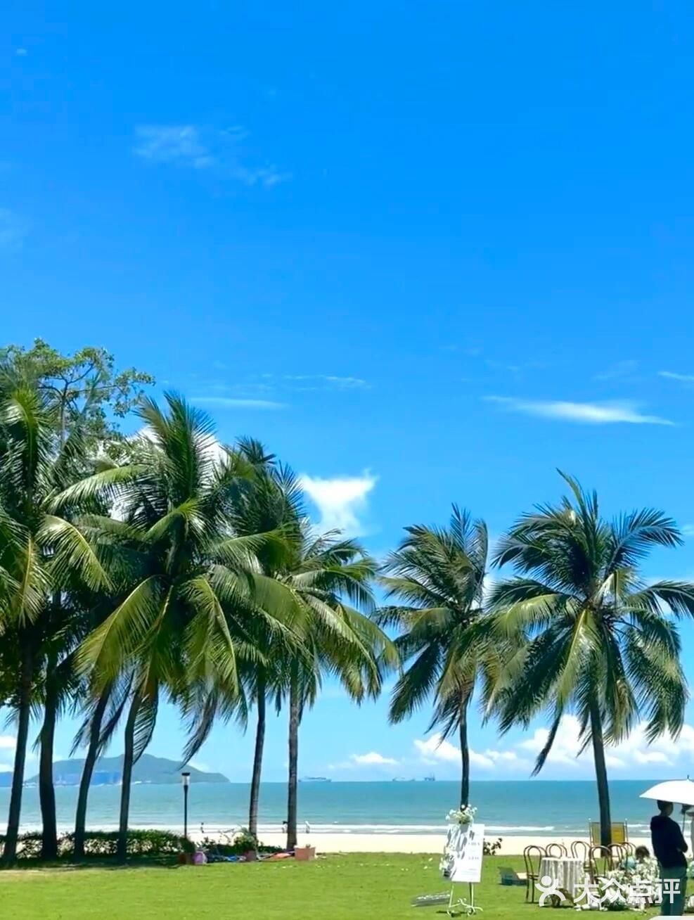 来三亚。。。。见世面了。。。试试香草鸭🦆