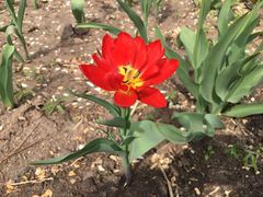 -长春公园(普阳街道)