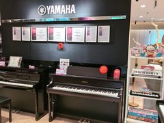 -雅歌音乐培训中心·钢琴培训·乐器培训(交道口店)