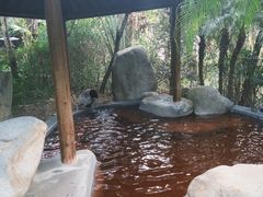 -水底山庄园温泉