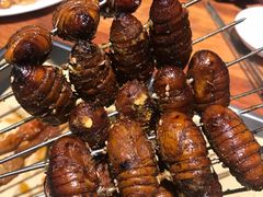 烤黄蚕蛹-160烧烤(香坊店)