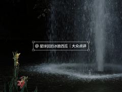 -九龙公园