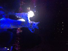 iphone_upload_pic-珠海横琴长隆《卡卡虎奇遇记》