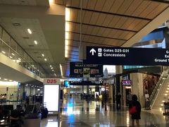 -达拉斯 沃斯堡国际机场