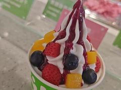 -Salud撒露欧洲冻酸奶(五道口购物中心店)