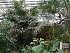 -龙达温泉生态城