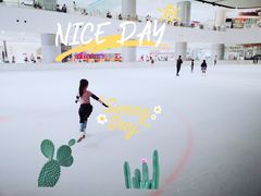 -TheRink大零溜冰场(IFS国金中心店)