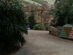 -杭州开元森泊度假乐园