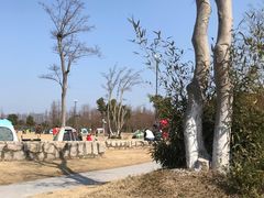 -上海长兴岛郊野公园